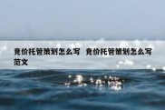 竞价托管策划怎么写  竞价托管策划怎么写范文