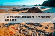 广告竞价投放托管服务流程  广告投放竞价是什么意思