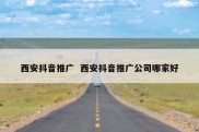 西安抖音推广  西安抖音推广公司哪家好