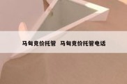 马甸竞价托管  马甸竞价托管电话