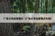 广告公司运营模式（广告公司运营模式升级）
