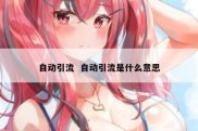 自动引流  自动引流是什么意思