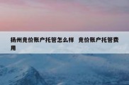 扬州竞价账户托管怎么样  竞价账户托管费用