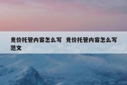 竞价托管内容怎么写  竞价托管内容怎么写范文