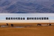 娄底竞价托管企业  最好的竞价托管费用