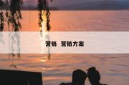 营销  营销方案