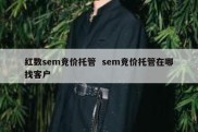 红数sem竞价托管  sem竞价托管在哪找客户