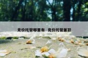 竞价托管哪里有  竞价托管兼职