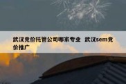 武汉竞价托管公司哪家专业  武汉sem竞价推广