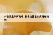 抖音流量如何变现  抖音流量怎么变现赚钱啊