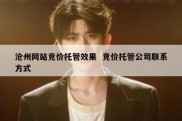 沧州网站竞价托管效果  竞价托管公司联系方式