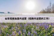 山东招商加盟代运营（招商代运营的工作）