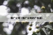 推广公司（推广公司的广告语）