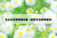 怎么引流视频播放量（胆管引流视频播放）