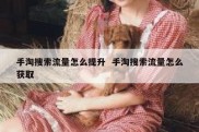 手淘搜索流量怎么提升  手淘搜索流量怎么获取