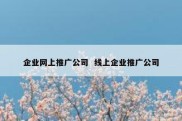 企业网上推广公司  线上企业推广公司