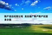 账户竞价托管公司  竞价推广账户账户托管多少钱