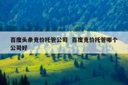 百度头条竞价托管公司  百度竞价托管哪个公司好