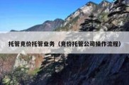 托管竞价托管业务（竞价托管公司操作流程）