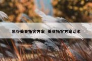 黑谷美业拓客方案  美业拓客方案话术