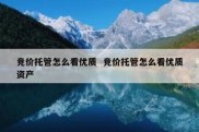 竞价托管怎么看优质  竞价托管怎么看优质资产