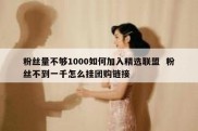 粉丝量不够1000如何加入精选联盟  粉丝不到一千怎么挂团购链接