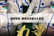 搜索引流  搜索引流是什么意思