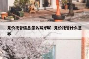 竞价托管信息怎么写好呢  竞价托管什么意思