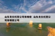 山东竞价托管公司有哪些  山东竞价托管公司有哪些公司
