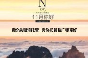 竞价关键词托管  竞价托管推广哪家好