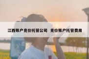 江西账户竞价托管公司  竞价账户托管费用