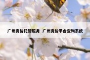 广州竞价托管服务  广州竞价平台查询系统