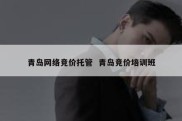 青岛网络竞价托管  青岛竞价培训班