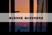 浦口竞价托管  浦口竞价托管电话