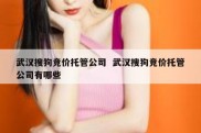 武汉搜狗竞价托管公司  武汉搜狗竞价托管公司有哪些