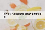 账户竞价托管哪里好用  最好的竞价托管费用