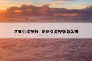 企业引流视频  企业引流视频怎么拍
