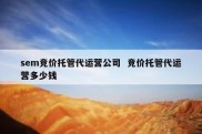sem竞价托管代运营公司  竞价托管代运营多少钱