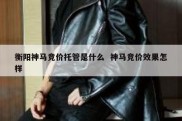 衡阳神马竞价托管是什么  神马竞价效果怎样