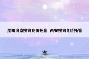 昆明济南搜狗竞价托管  西安搜狗竞价托管