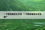 一个新店铺怎么引流  一个新店铺怎么引流推广