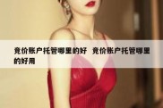 竞价账户托管哪里的好  竞价账户托管哪里的好用