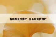 有哪些竞价推广  什么叫竞价推广