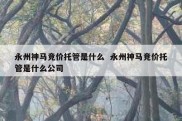 永州神马竞价托管是什么  永州神马竞价托管是什么公司