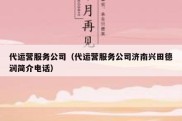 代运营服务公司（代运营服务公司济南兴田德润简介电话）