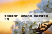 竞价网络推广一流凯越托管  凯越管理有限公司