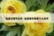 加盟试餐饮合作  加盟餐饮需要什么条件