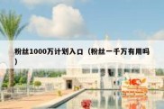 粉丝1000万计划入口（粉丝一千万有用吗）