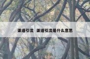 渠道引流  渠道引流是什么意思
