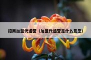 招商加盟代运营（加盟代运营是什么意思）